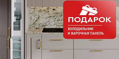 Холодильник и варочная панель в подарок